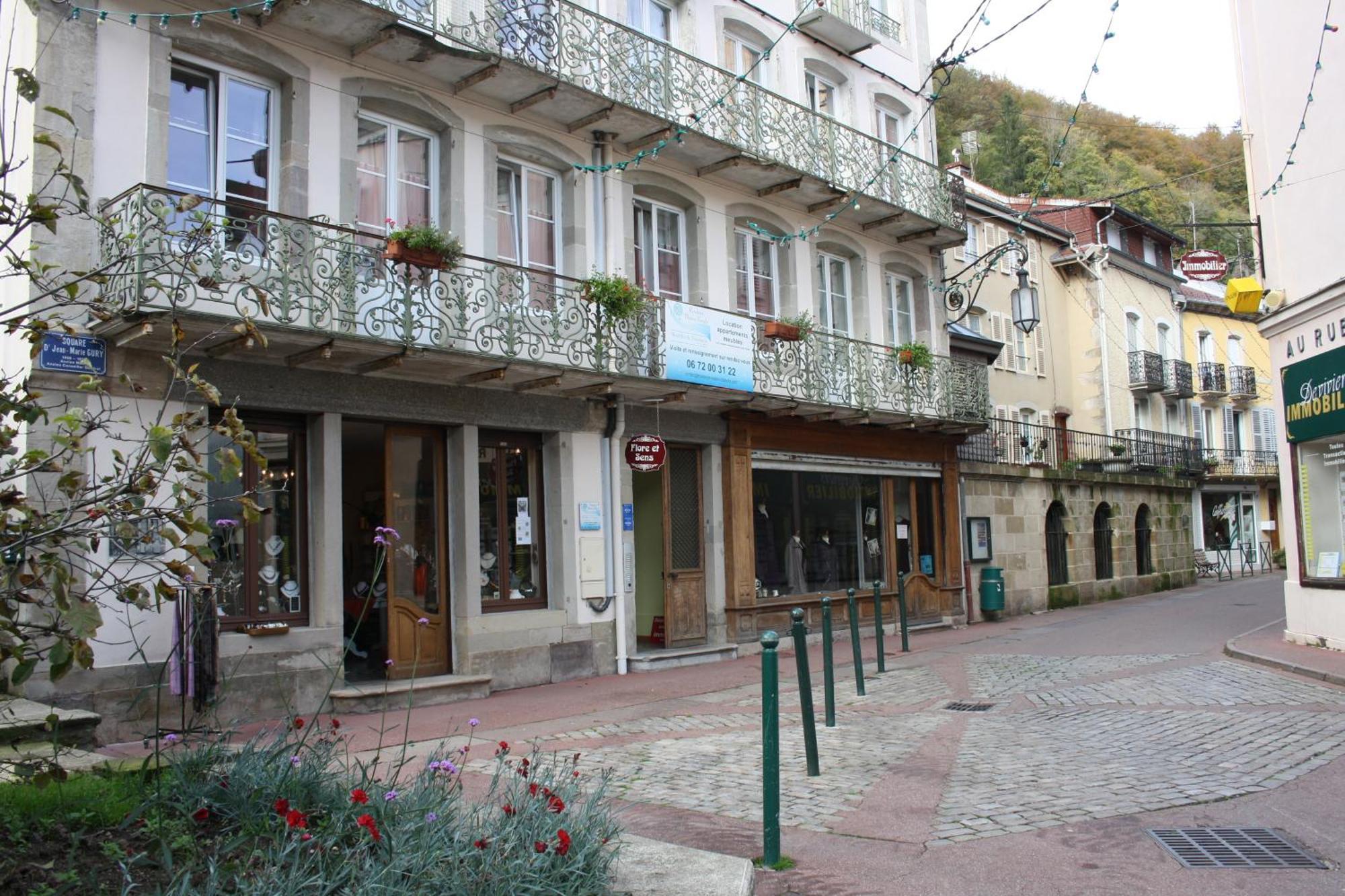 Residence Maison Blanche Plombières-les-Bains Kültér fotó